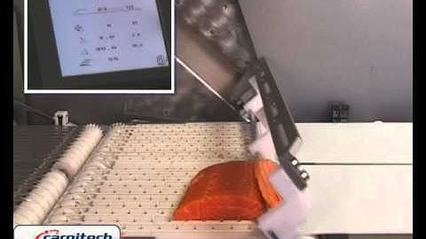 Salmon Multi Angle slicer