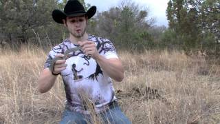 Desert Kingsnake