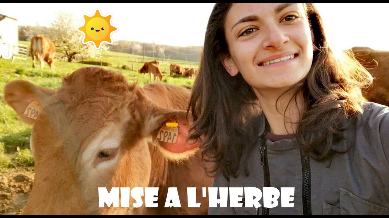 On sort nos vaches ! - Elisa AgriPassion