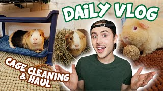 Daily Guinea Pig Vlog 🐽 Cage Cleaning & Haul!