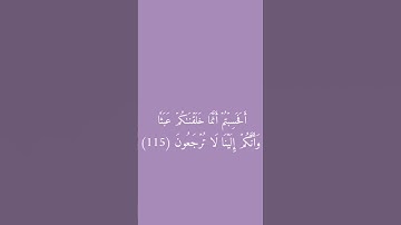 سورة المؤمنون الآية 115 - 116