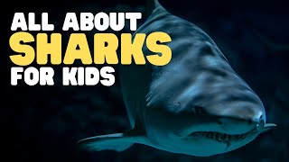 All About Sharks for Kids | What is a shark? Shark facts for kids