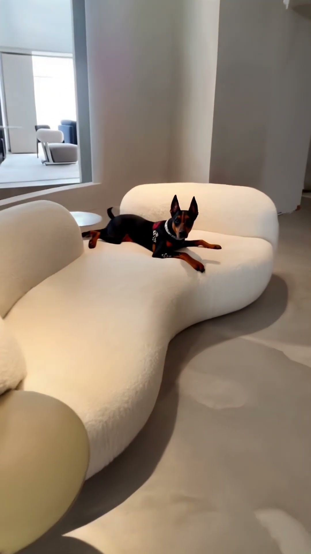 Product Link in Bio ( # 2035  ) @MaviGadgets  ▶️ Nordic Style Sculptural Curved Artistic Lounge Sofa