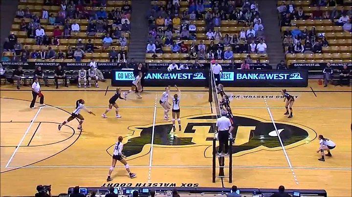 2014 - Nicole Edelman highlights