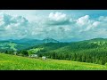 Relaxing music relaxing piano music sleep music peaceful musicflying