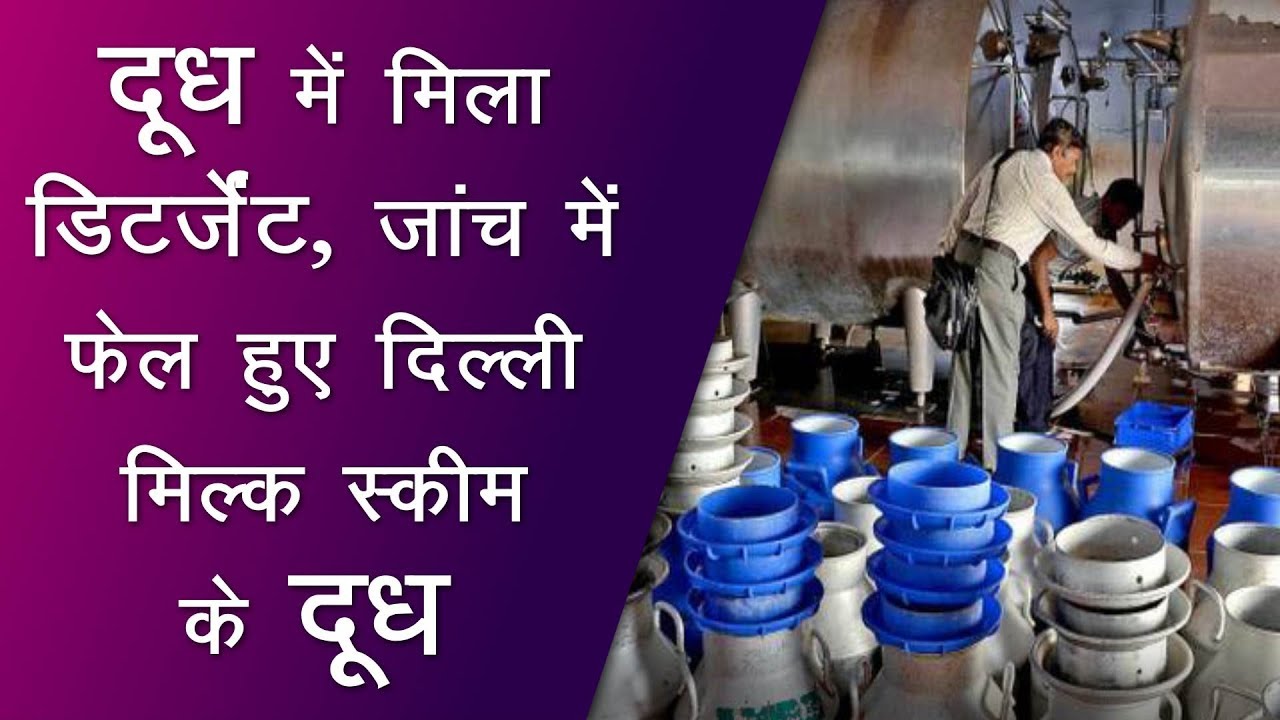 drugs-found-in-milk-of-delhi-milk-scheme-company-top-news-networks
