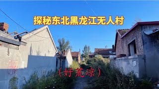 小伙探秘黑龙江鸡西废弃无人村，一片荒凉人都去哪儿了呢 #城市探险#废墟#诡异【探险牙牙牙】