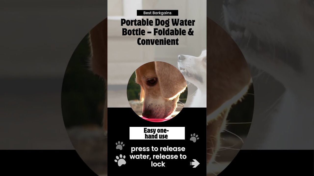 Portable Dog Water Bottle – Foldable & Convenient