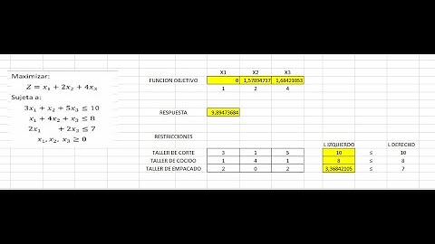 Programación lineal entera con SOLVER