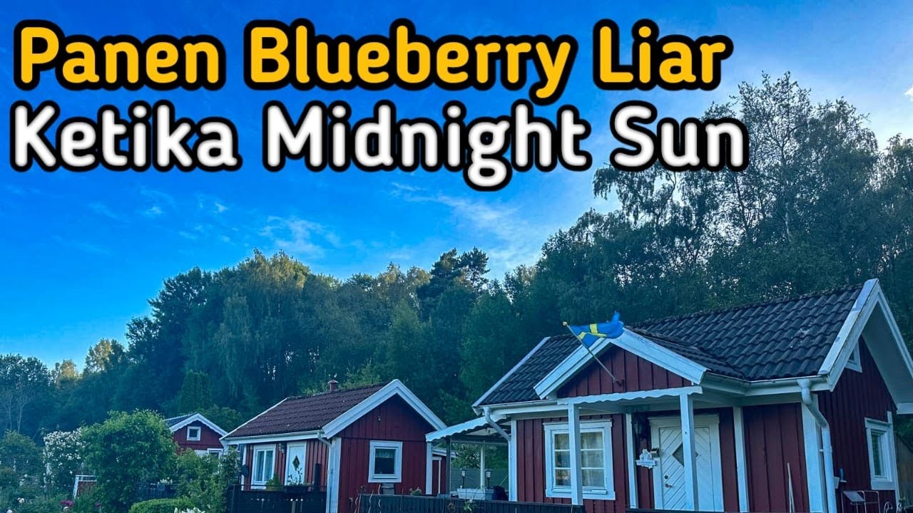 Akhirnya Panen Blueberry Liar di Negara Tanpa Malam Ketika Fenomena Midnight Sun 