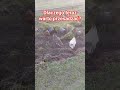 Zapowiedź filmu o przesadzaniu.budujemy nasze gospodarstwo#polskawieś