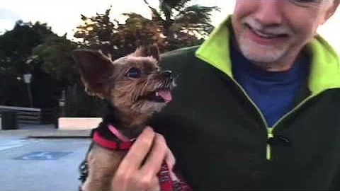 Red tide causes crazy dog sneezes!!