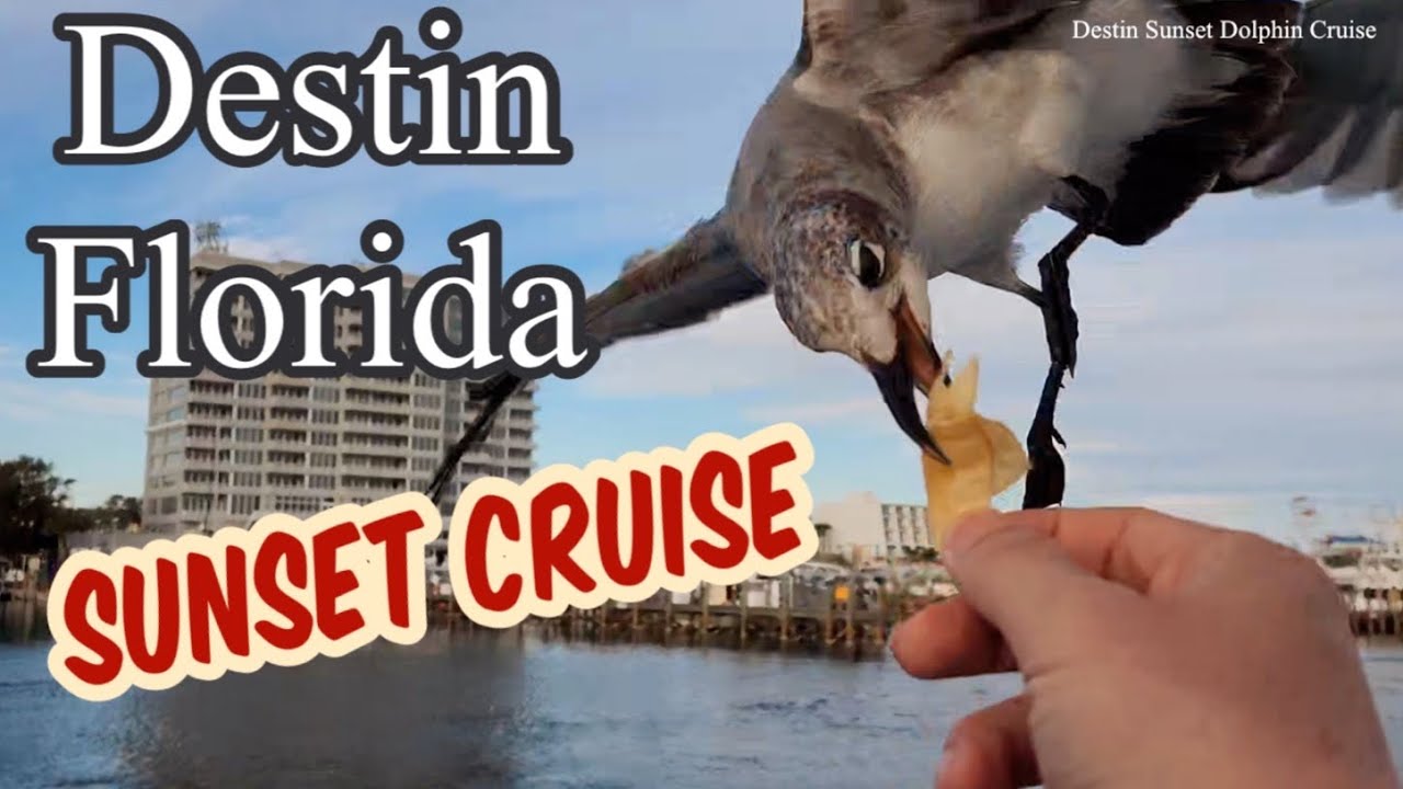Sunset Cruise Destin Florida 🚢