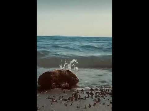 Kerim Yağcı -