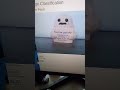 Raspberry Pi TensorFlow Lite PiCamera Flask Demo