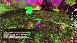 WoWbeez private server Bug abuse