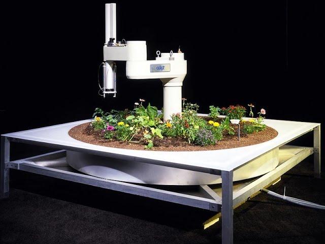 Ken Goldberg: 4 lessons from robots about being human