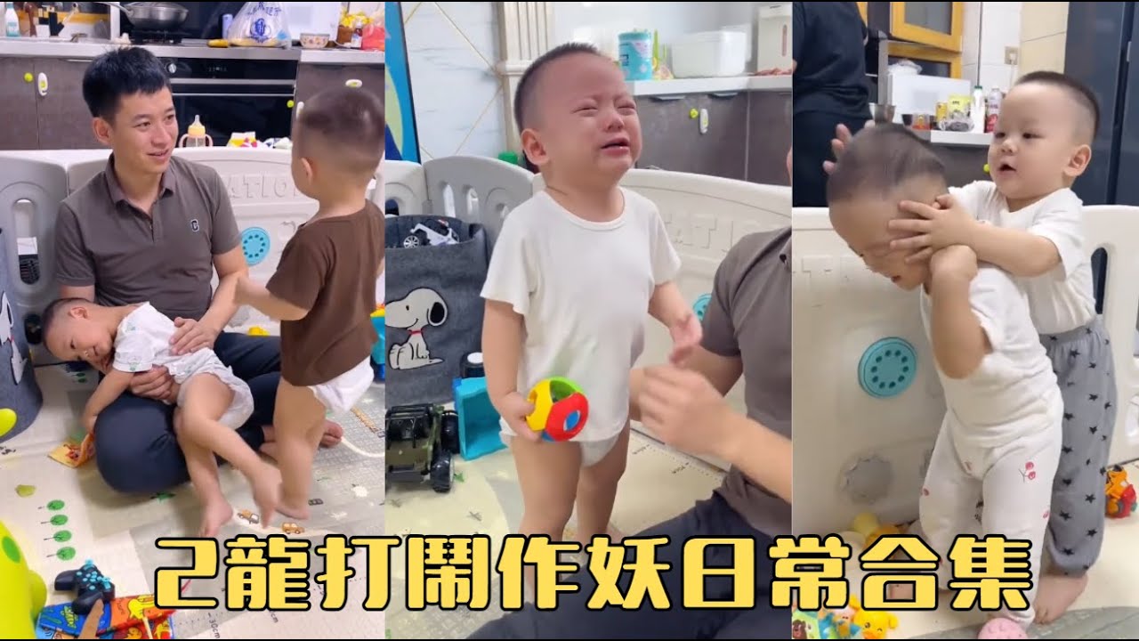 2龍打鬧作妖日常合集
