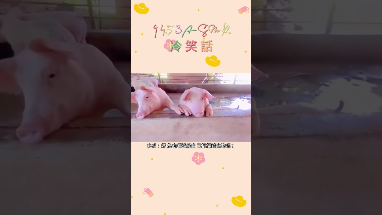 9453ASMR 打掃豬窩 #笑話 #冷笑話 #asmr #9453
