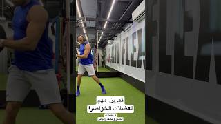 تطوير عضلات الخواصر والبطن #obliques #abs