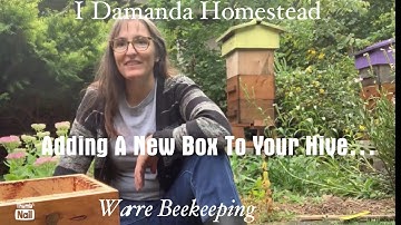 Adding Another Box to Your Warre Hive; AKA Nadiring!