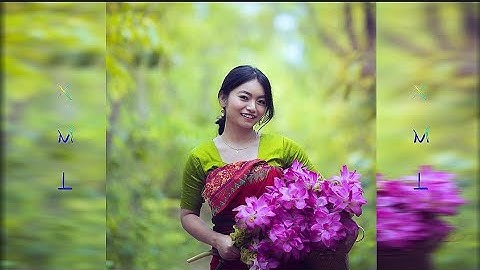 [Anxmus Music]new bodo xml file||alight motion||SB STATUS 🥀🥀🌹🌹😍😍