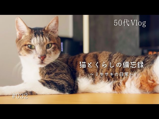 猫のオルゴナイト  訳ありの為ご理解の上ご検討ください。 50代Vlog】穏やかな何でもない1日｜猫にくすりやり｜3時は林檎の