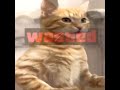 #anime #animeedit #amv #edit #viral #shorts #animeamv #phonk #animeedits #manga #fyp #viralshort