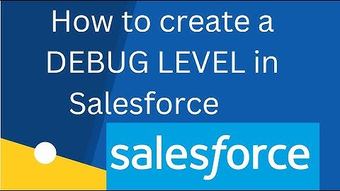 How to create a Debug  Level for logs in Salesforce