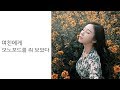 [금손여친프로젝트] 여친에게 모노포드를 줘 보았다 | feat . 제주도 유채꽃