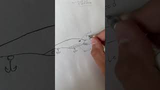 Day 19 of making a fishing brand - designing a CRANKBAIT #fishing #smallbusiness #imperialures