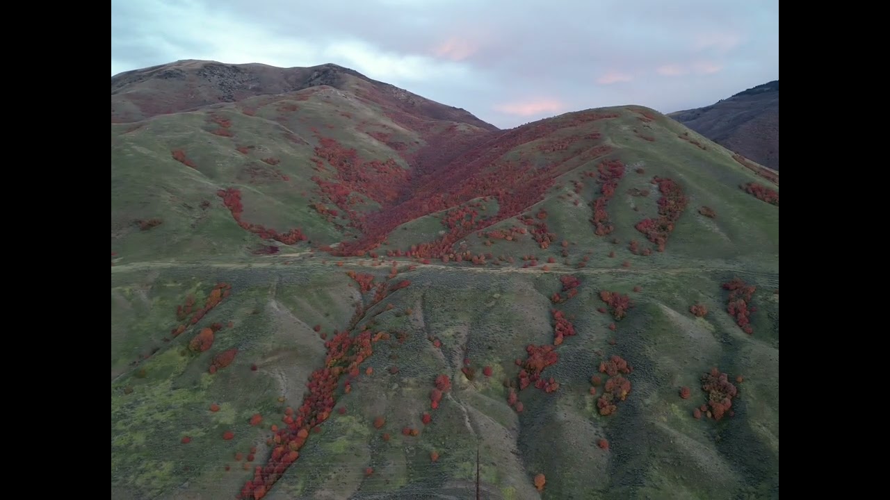 Perry, Utah Fall 2023