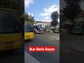 Bus Baris Guyss