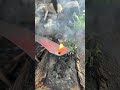 The Secret to Drilling Steel Blades Without Cracking #blacksmith #knife