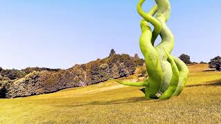 Growing Tree  cinema 4d Net Worth