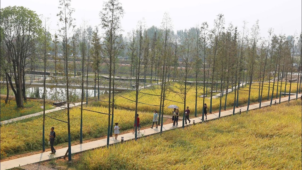 World Landscape of the Year 2017 teaches people about China's farming history, says Turenscape