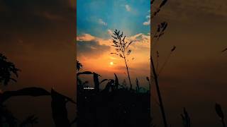 #bangladesh #motivation #sadstory #trending #trendingshorts #fypシ #nature #life #viralshorts #viral