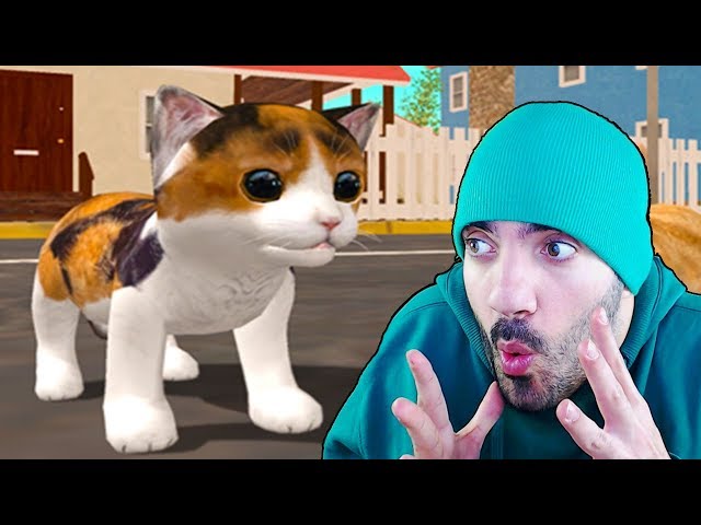 Cat Sim Online #01 - O Gatinho Mais Fofo Do mundo - Simulação de