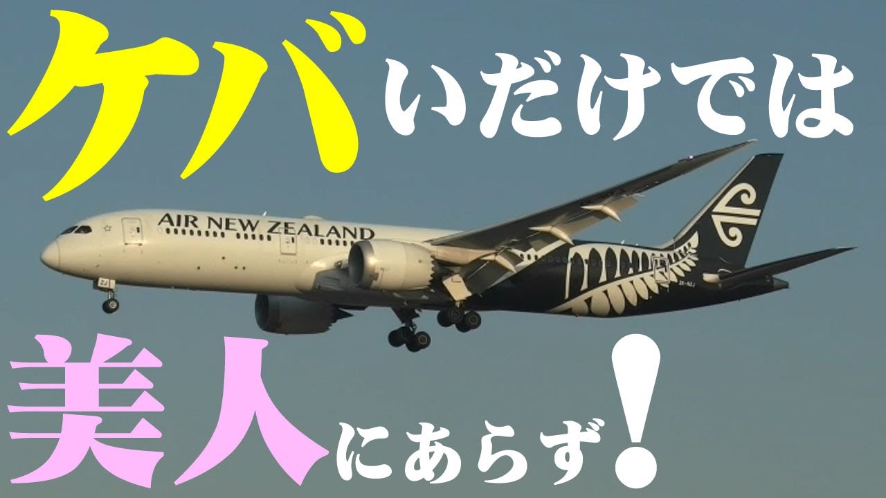 ネクタイピン10点航空会社飛行機航空機成田空港