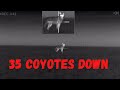 35 coyotes Down Pulsar Trail Thermal