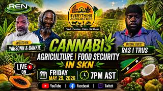 Celebrity 🌱 Everything Agriculture: 🌿 Cannabis & Food Security in SKN: Agriculture, Policy & the Future 🇰🇳 Profile