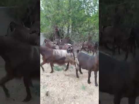 Bu yolda dönenler oldu...biz hala buradayız