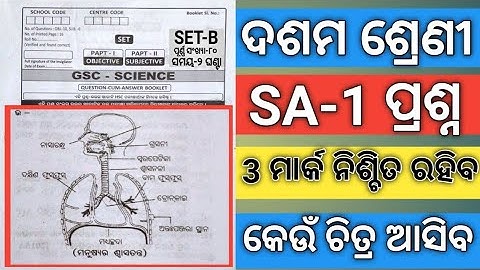 10th Class SA 1 Science Question Paper 2022#SA 1 Class 10 Life Science Selective Question 2022