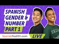 Spanish Grammar: Adjectives and Nouns Agreement (Gender & Number) - Part 1