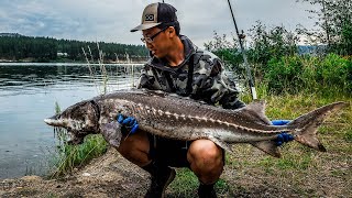 Bank Fishing for Keeper Sturgeon (My Tackle, Baits, and River Structure Tips)