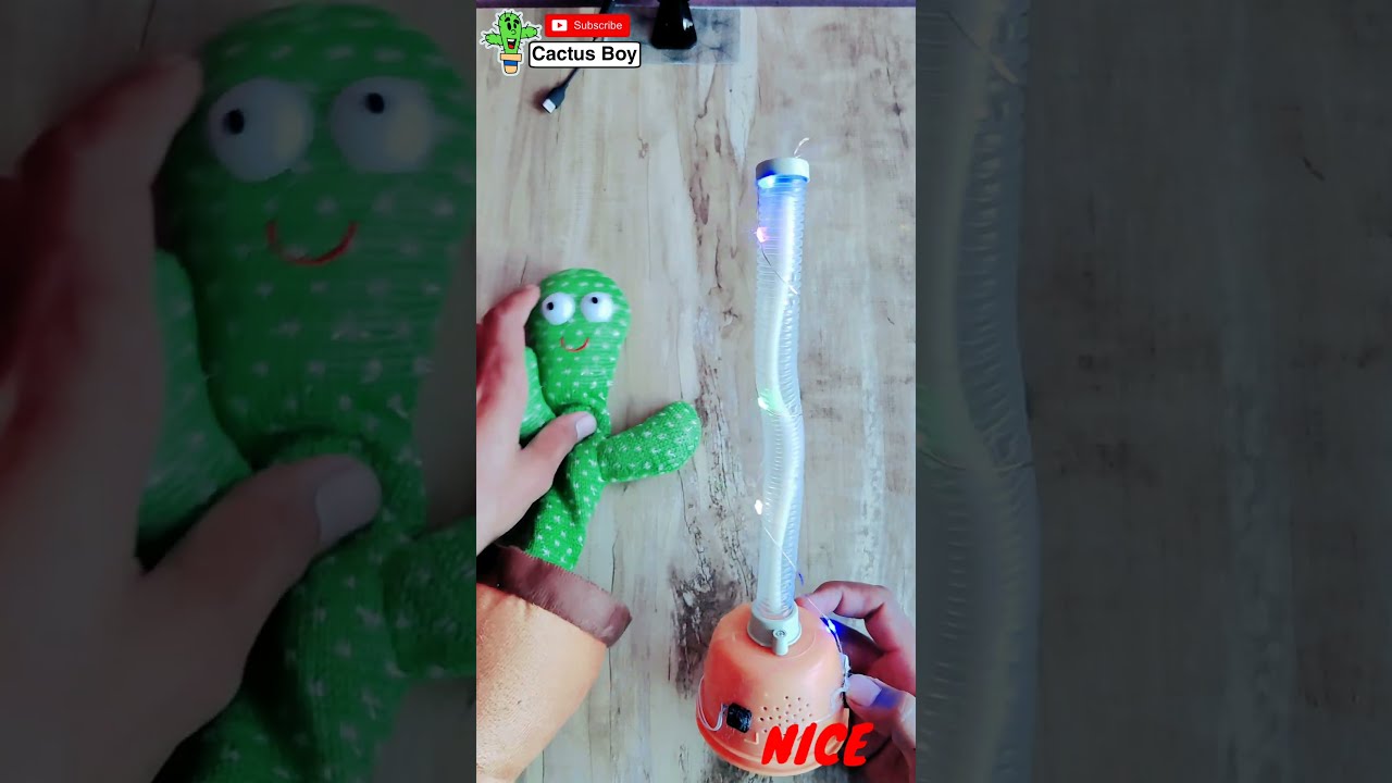 DIY Cactus Toy Art Shorts