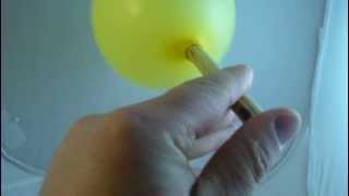 toptan balon düdük balon