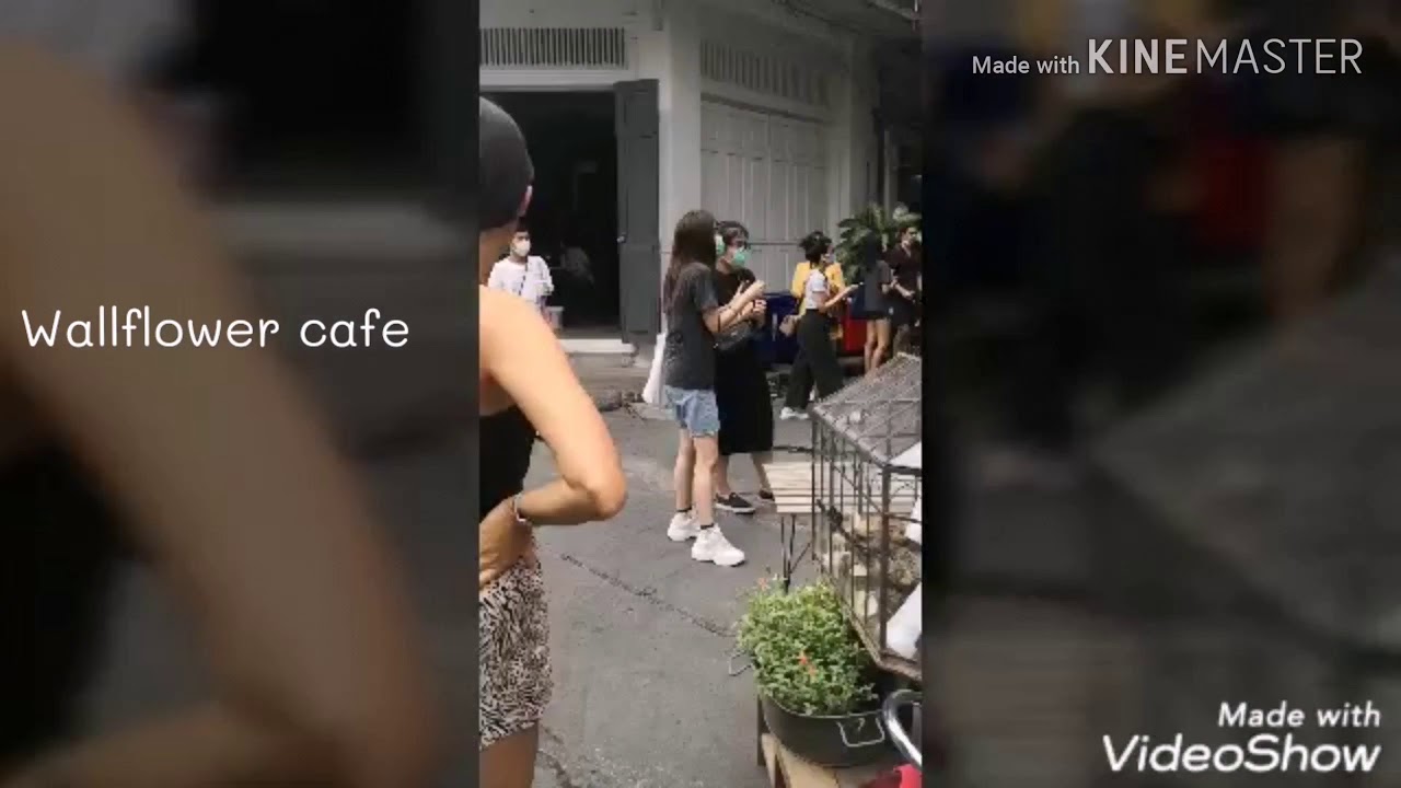 Wallflower cafe YouTube