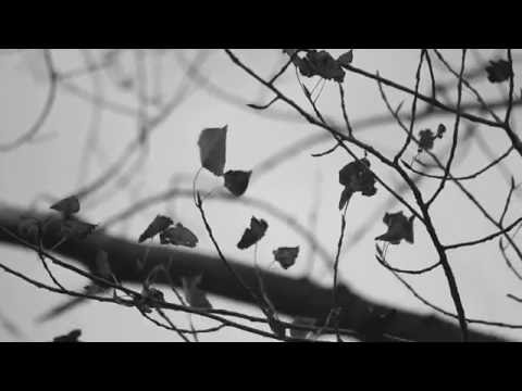 Despacio - Video clip