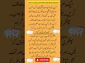 DIY Tooth Powder for Stronger, Brighter Teeth Naturally #feedshorts #viralshort#ytshorts